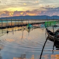 Đầm Ô Loan