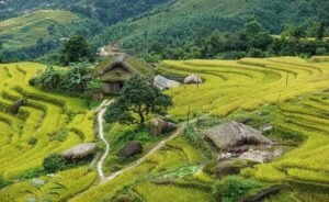 Tour Hà Giang – Cao Nguyên Đá – Khuổi My 3 Ngày 4 Đêm