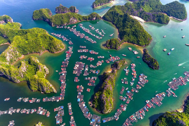 Tour Cát Bà – Vịnh Lan Hạ 2 Ngày 1 Đêm Giá Tốt
